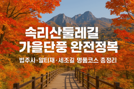 [명품숲길 50선 가을단풍 산행 ⑦] 충북 보은 속리산둘레길 : 말티재&middot;법주사 단풍과 정이품송이 어우러진 가을 명품길