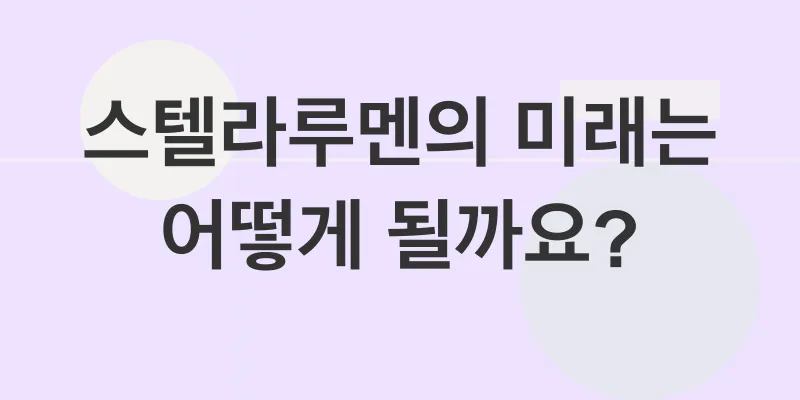 스텔라루멘 전망_3