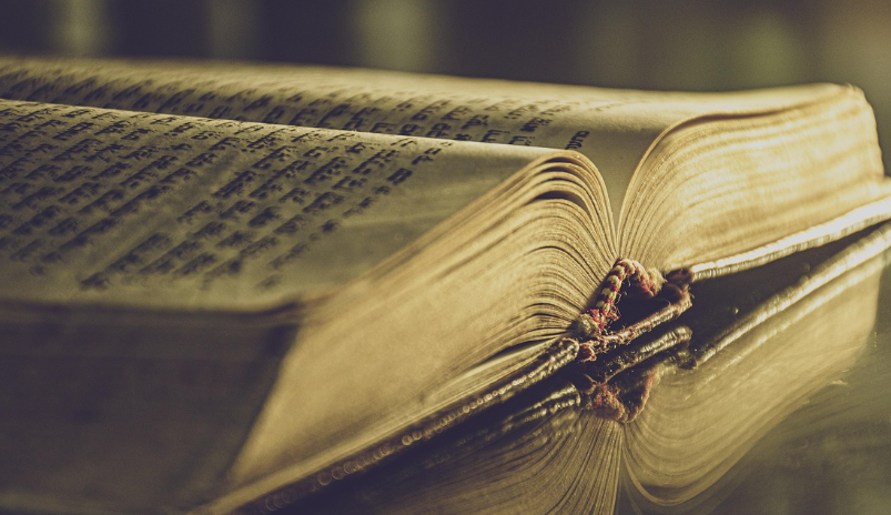 유럽 작가들의 에세이 감성 (문학성, 깊이, 서정)