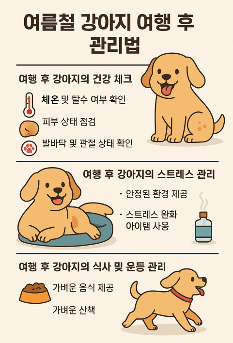 여름철 강아지 여행 이미지