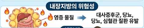 내장지방 빼는법