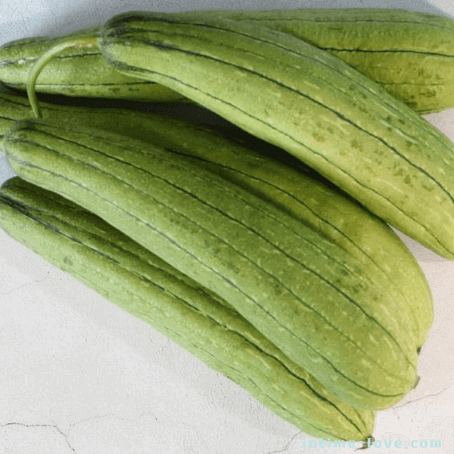 관상용, 식용, 수세미 등으로 이용되는 수세미