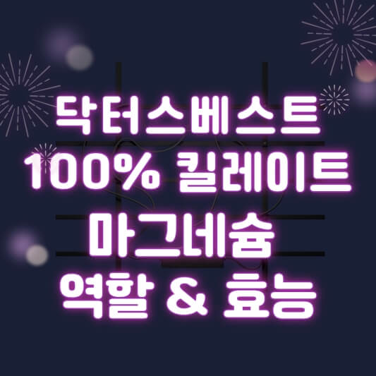 대표 사진