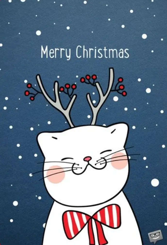 크리스마스 카드