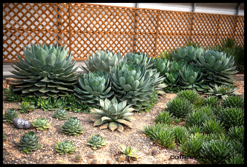 이천여행 아이와 가볼만한곳 덕평공룡수목원