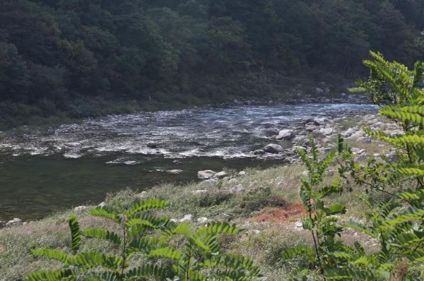 인제 내린천: 짜릿한 액티비티의 천국
