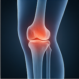 콘드로이친1200mg