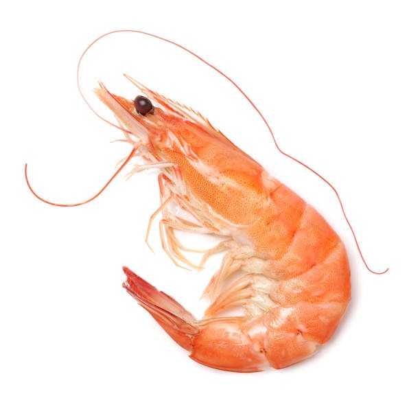 새우 잡는 꿈 해몽