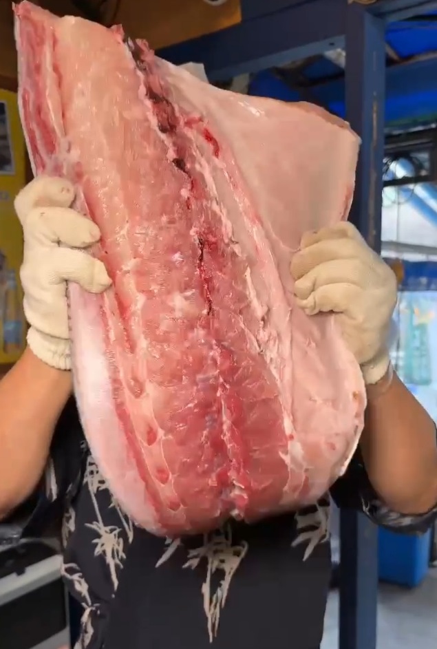 인천-연수구-대방어