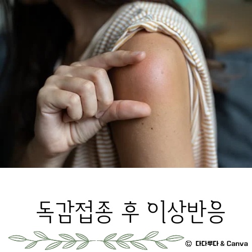 독감 접종후 증상 몸살 열 부으면 이상반응 생기면 신고