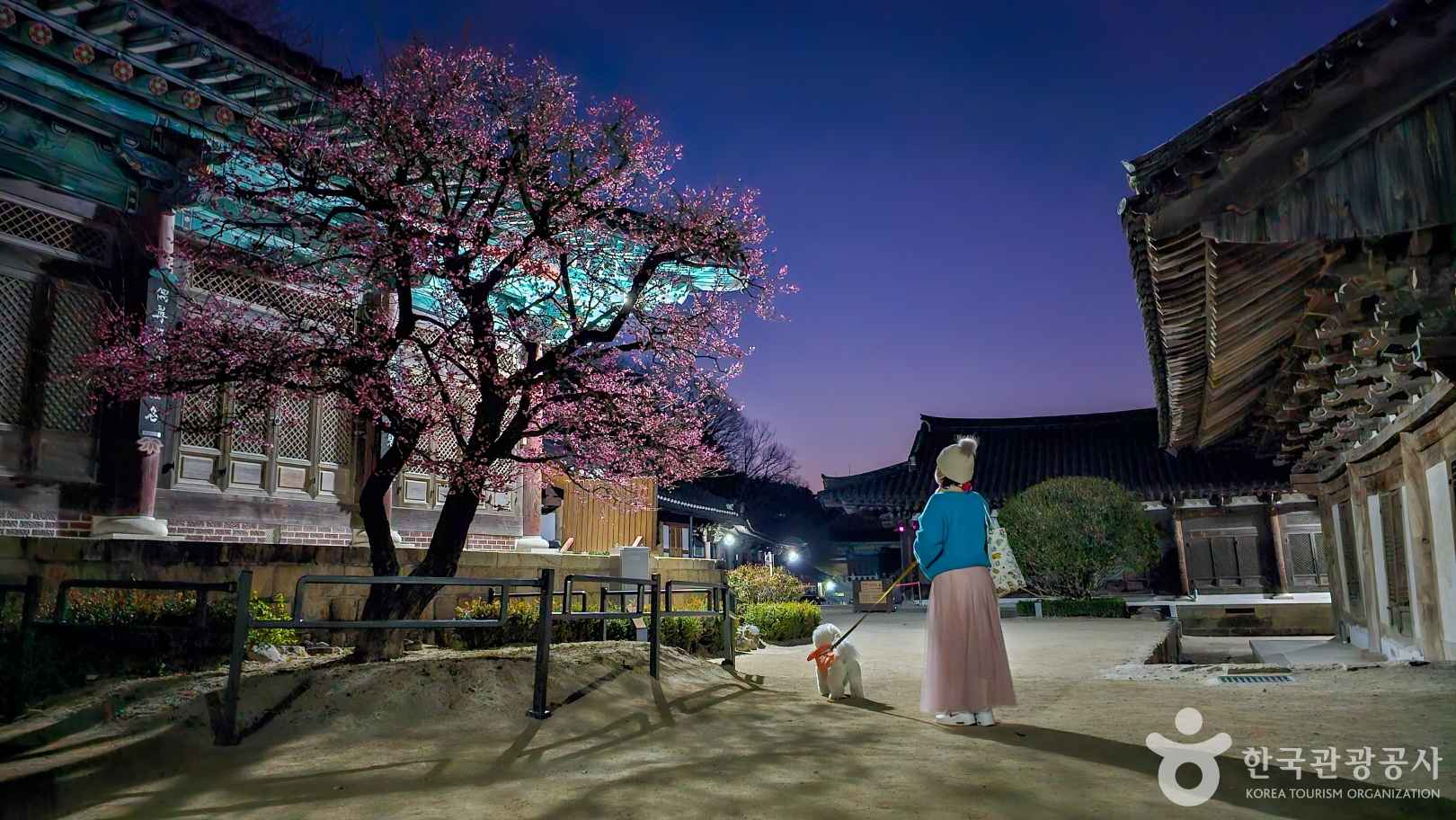 조계종 통도사