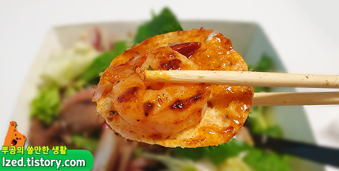 같이 온 나초와 함께!