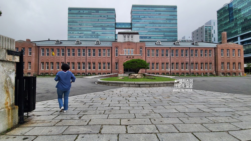 부산 가이드 투어, 피란수도 부산 로컬투어 (부산역 출발) 아이들 체험학습 부산임시수도 아미동 비석문화마을