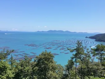 완도 맛집 베스트10 숨겨진 남도 해산물_19