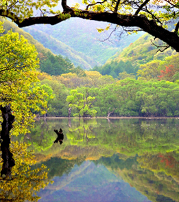 국립공원 사진
