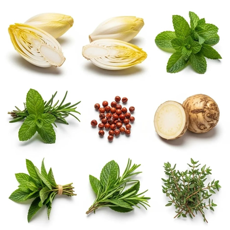 메타필정 속 핵심 원료, 어떤 것들이 있을까?