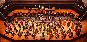 오케스트라를 구성하는 클래식 악기들의 종류와 특징을 정리_6