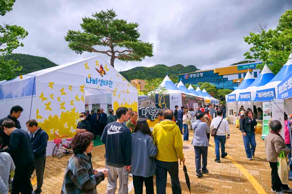 영양산나물축제