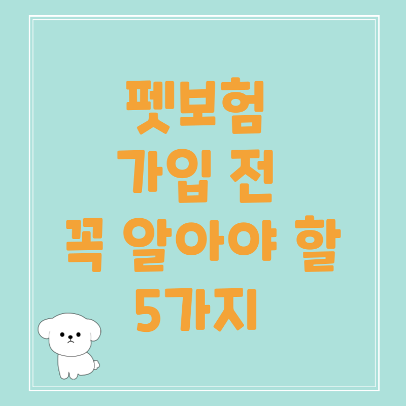 펫보험 가입 전 꼭 알아야 할 5가지