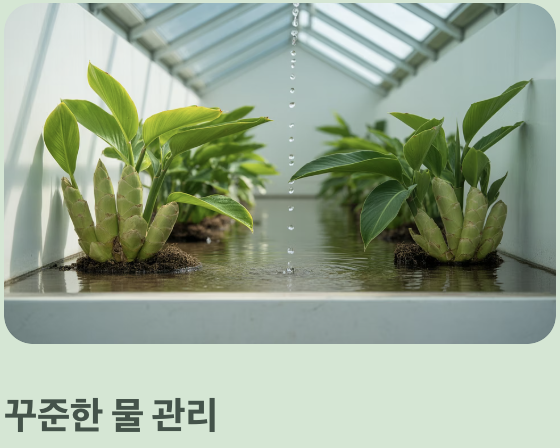 풍성한 수확을 위한 마지막 팁