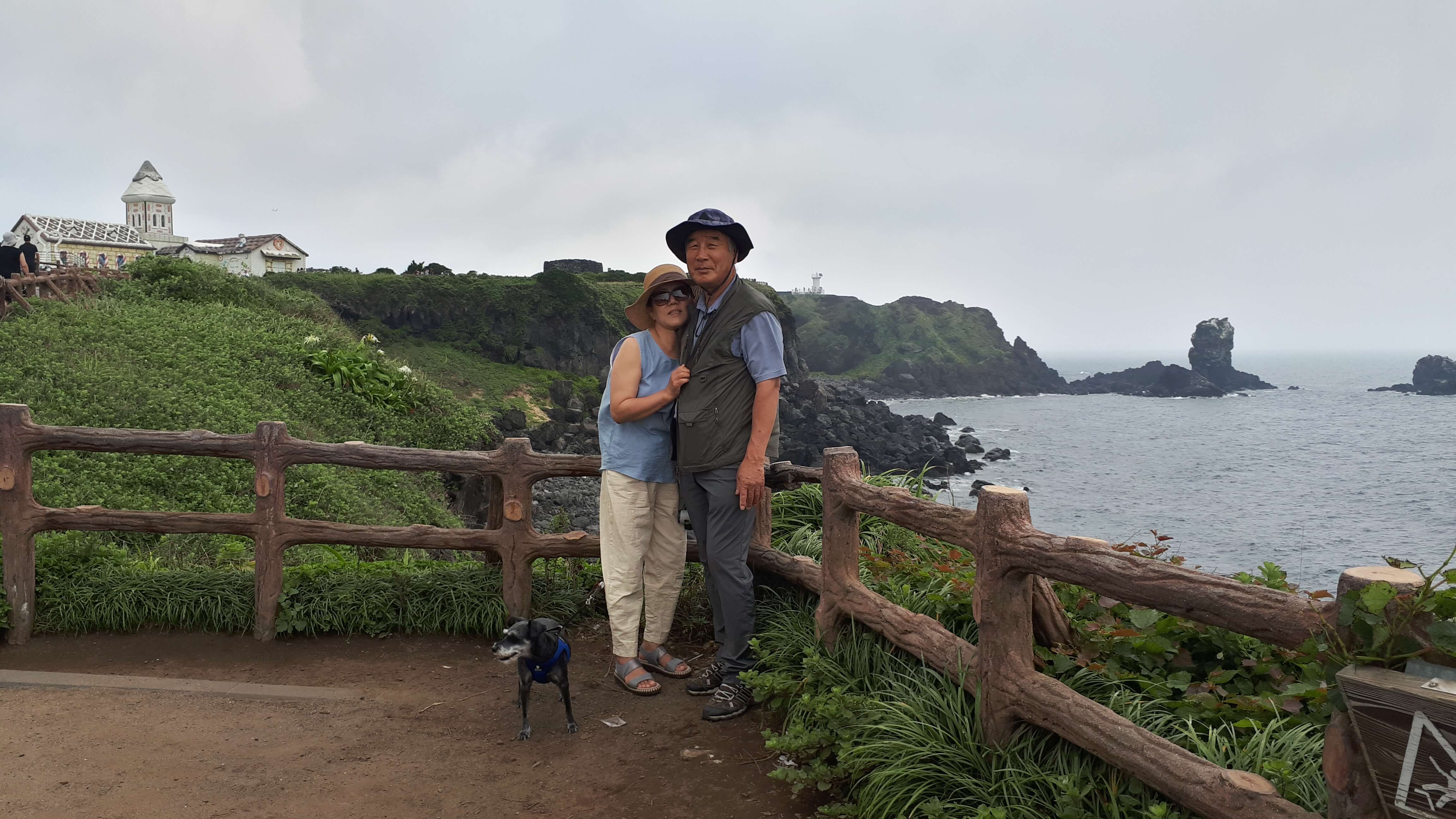 반려견 동반 서제주 여행