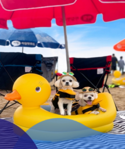 반려견 해수욕장