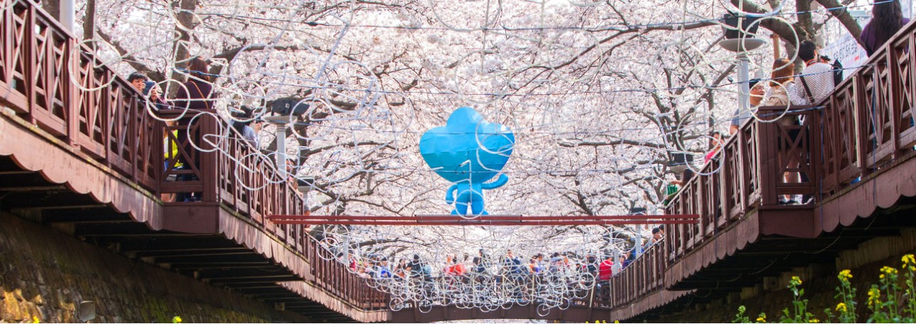 2025 진해 군항제 벚꽃 축제 명소 지도 다운로드