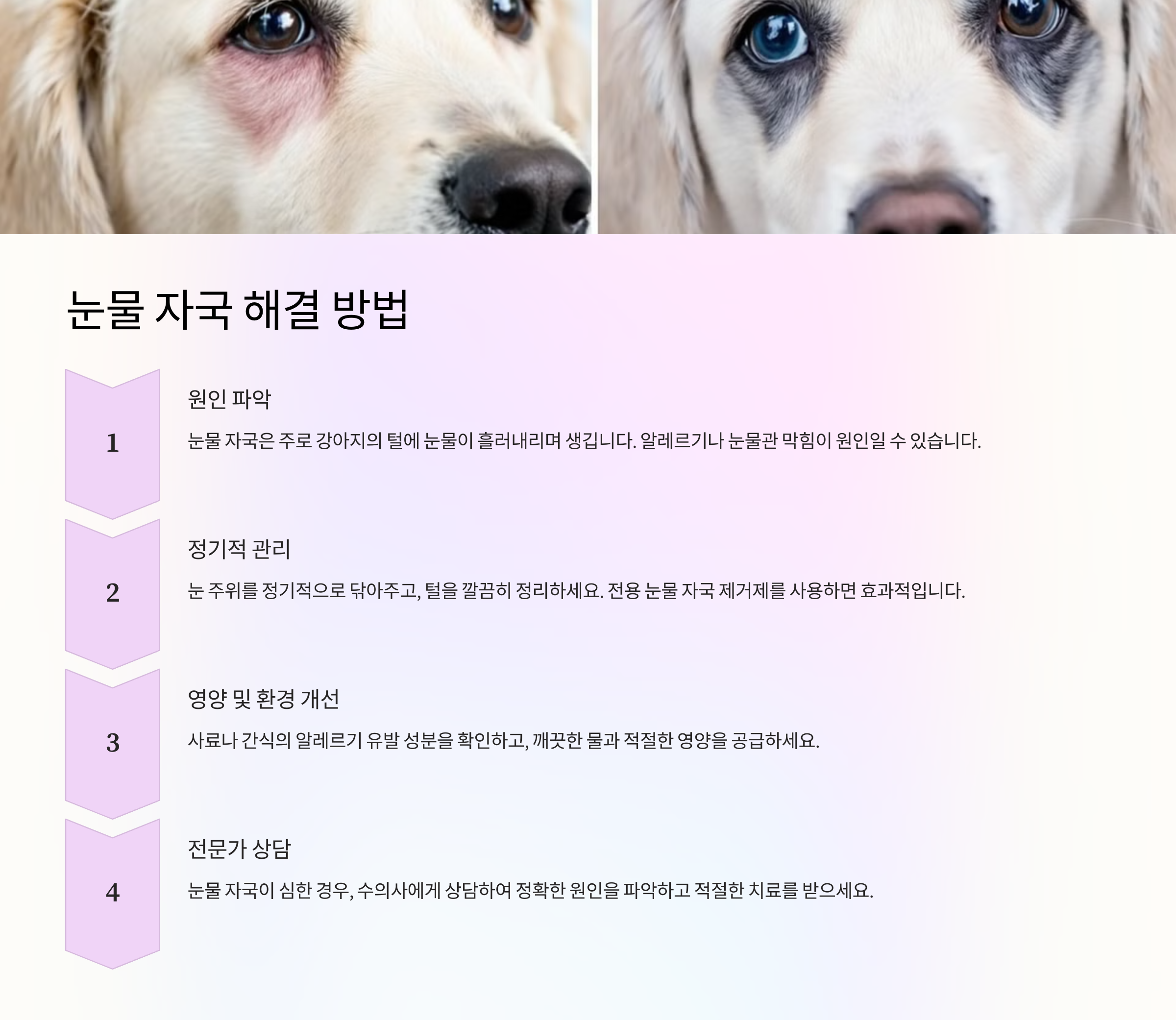 눈물 자국 해결 방법