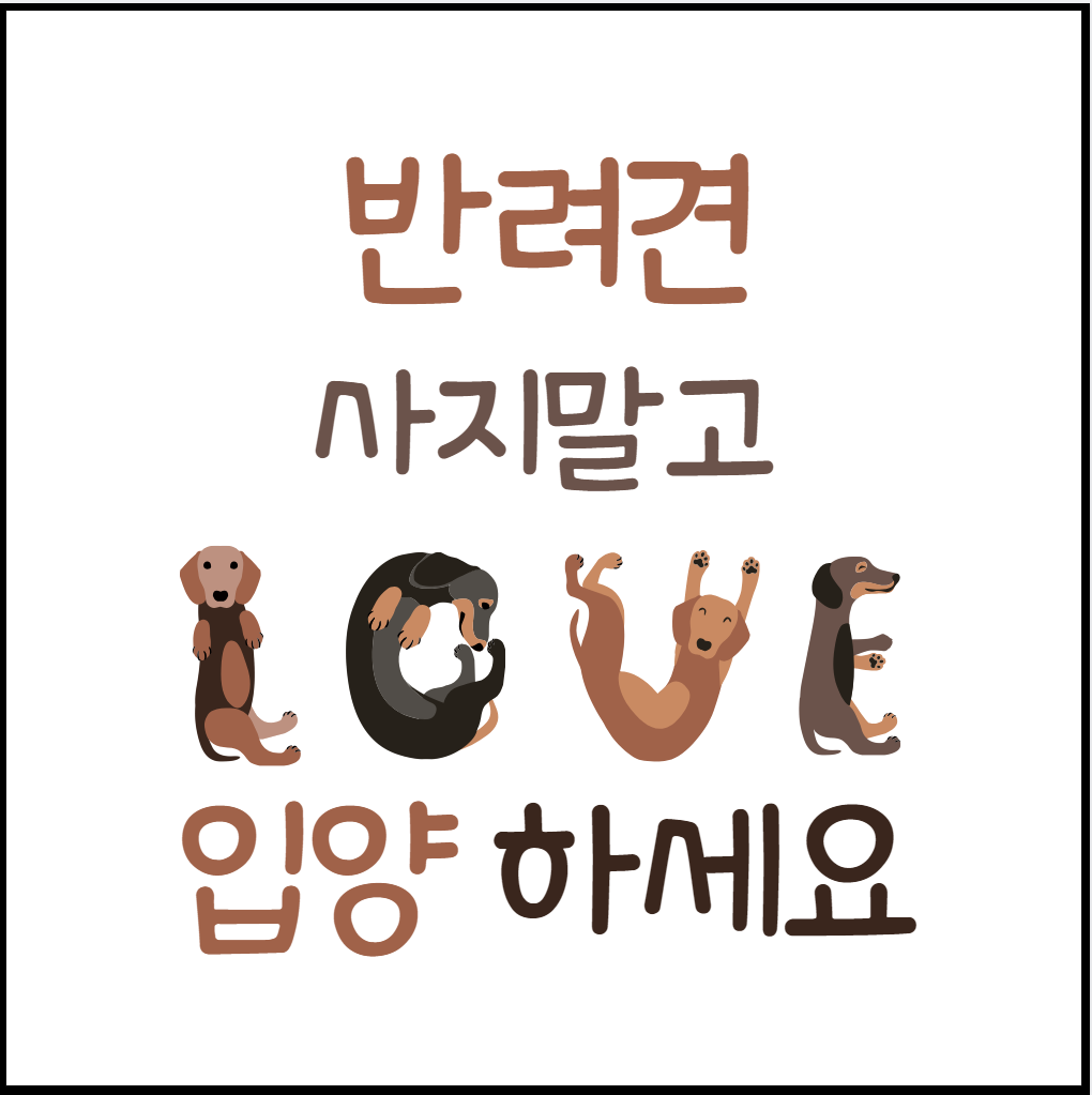 반려견-입양-고려사항