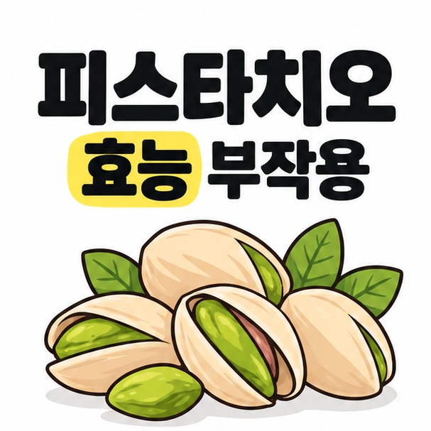 피스타치오 알맹이와 껍질 그림 옆에 피스타치오 효능 부작용 제목을 크게 배치한 카드