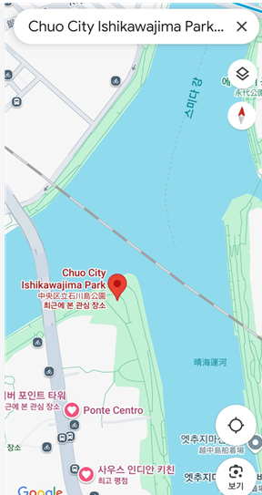 이시카와지마공원 주변의 연두색이 모두 벚나무