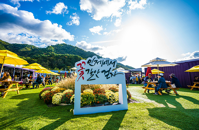 인제가을꽃축제