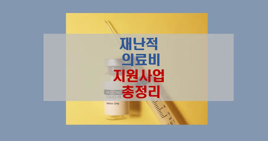 재난적 의료비 지원 사업 총정리