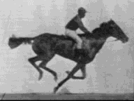 패러디 영상 만들기 수업