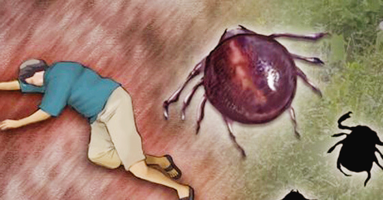 SFTS 바이러스 증상