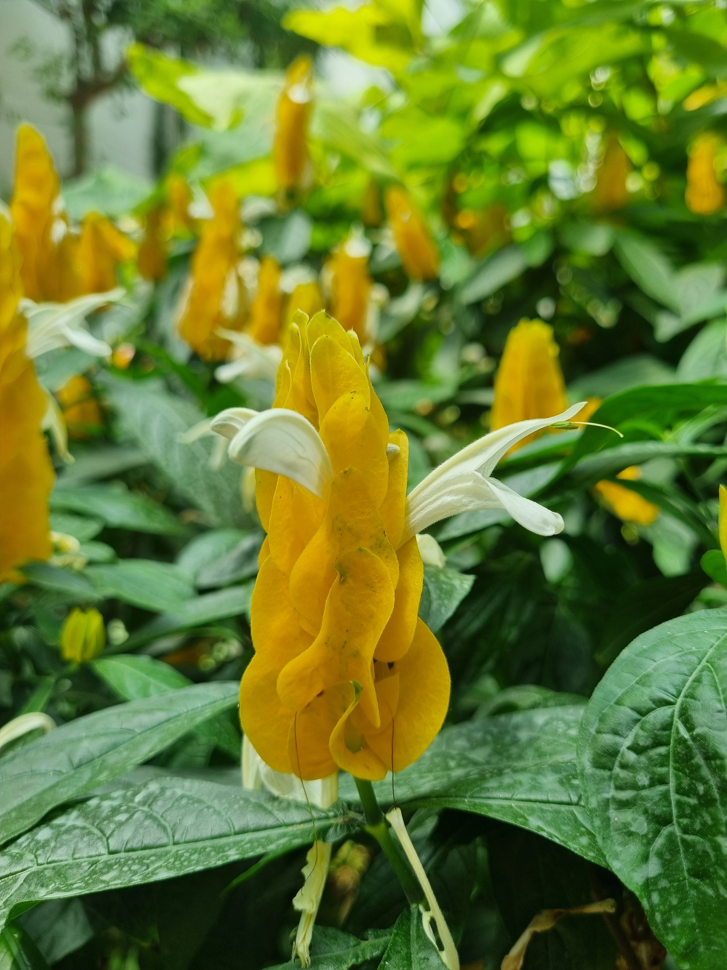 부천 가볼만한 곳 자연생태공원