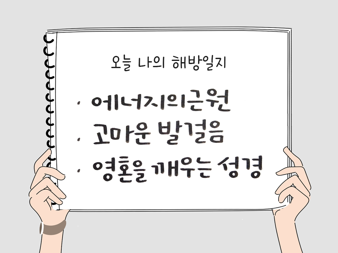 피어나네 감사일기 25년 1월 4일 오늘 나의 해방일지 감사노트 감사를 통해 발견한 행복 오늘 감사한 순간들