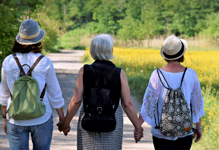 성인간호학 심혈관질환과 폐경기의 관계 에스트로겐의 역할 심혈관질환 위험 요소 예방과 관리 방안