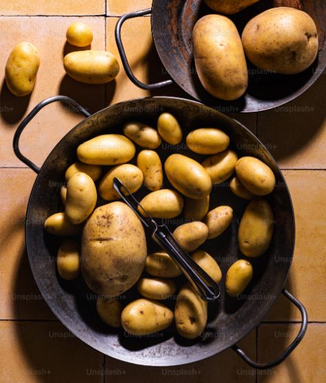 감자 음식 사진