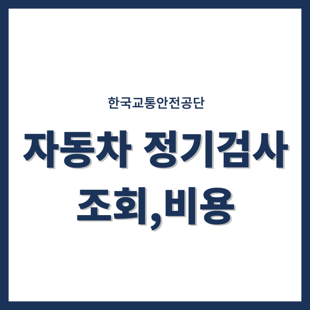 자동차 정기검사 조회