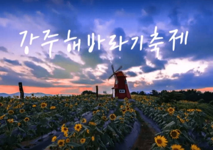 강주 해바라기 축제