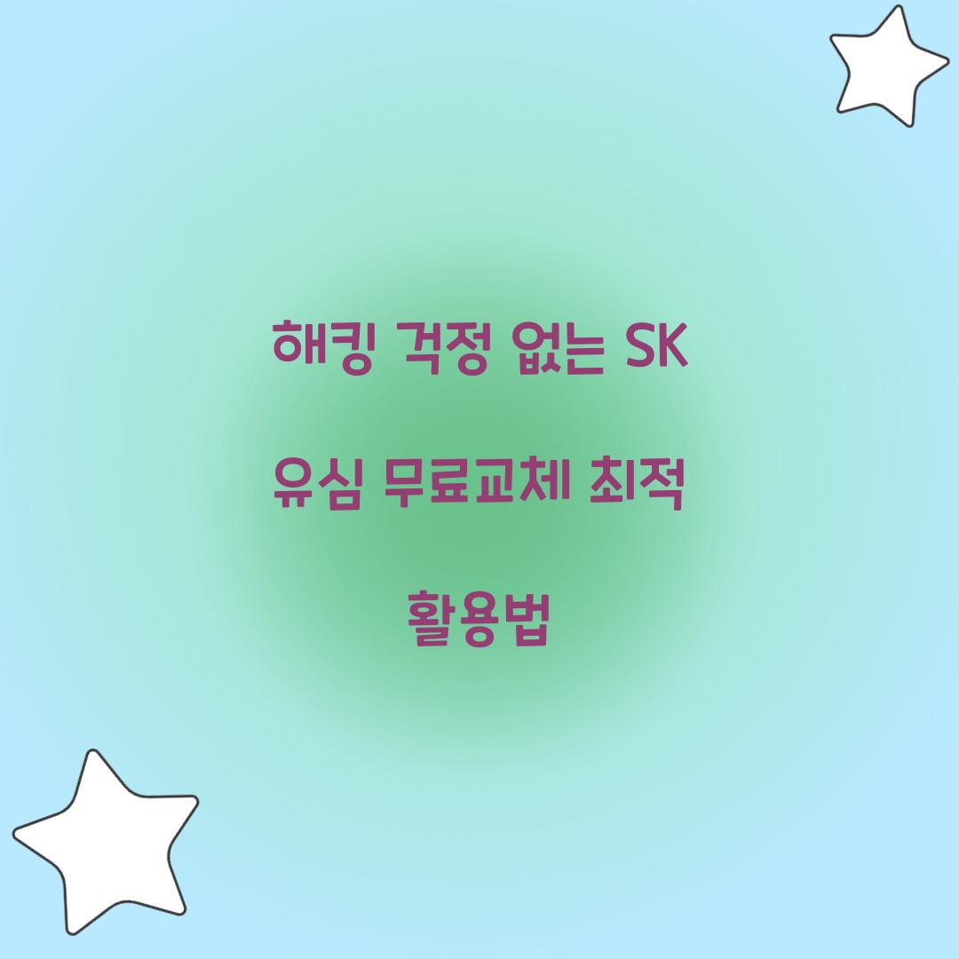 해킹 걱정 없는 SK 유심 무료교체 활용법