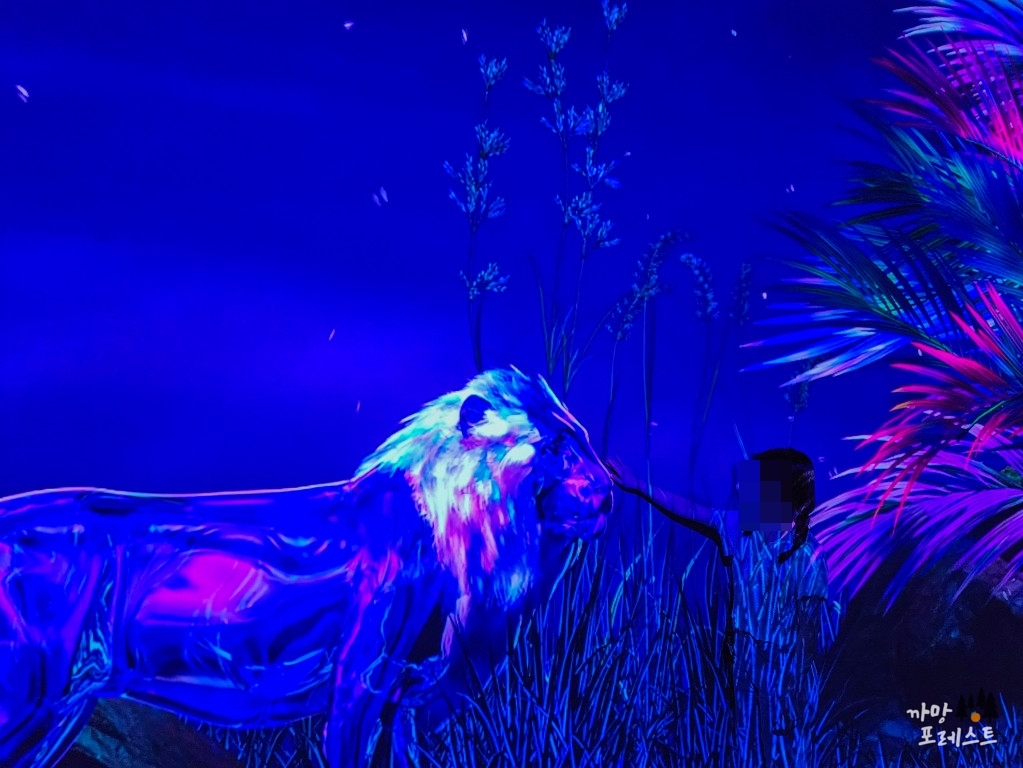 아르떼 뮤지엄 제주 동물