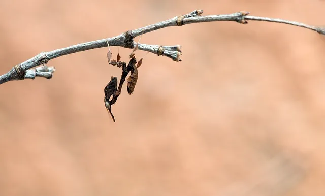 역설법 반어법 구분 사용 예시_9