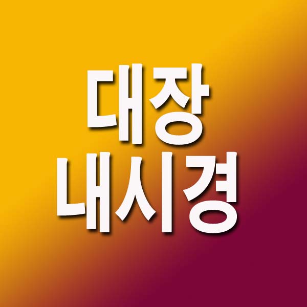 대장내시경 전 먹어도 되는음식