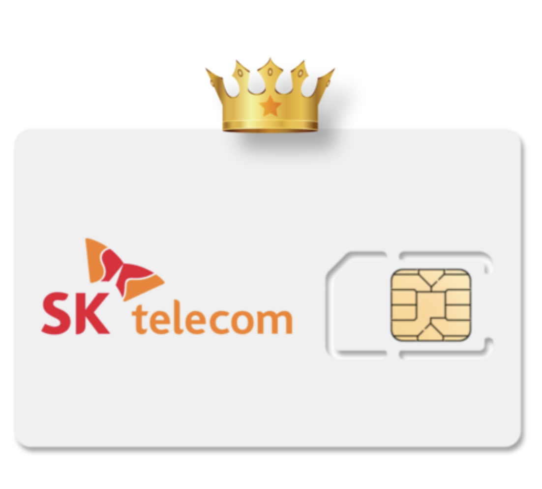 SK텔레콤 유심 무료 교체 신청방법과 유심보호서비스 가입법 완벽 정리