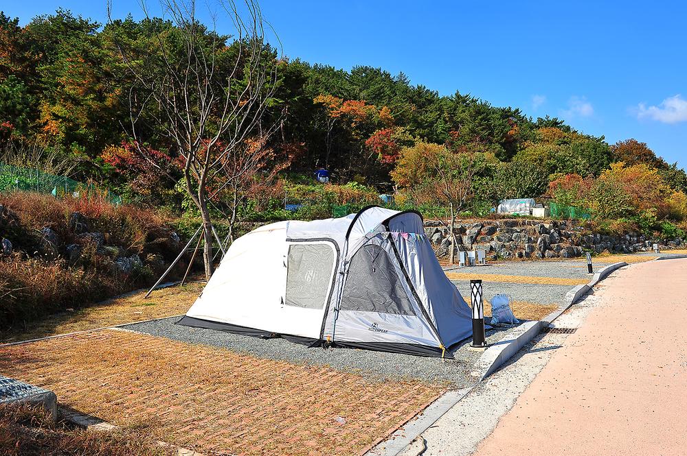 울산 중구 태화연캠핑장 소개