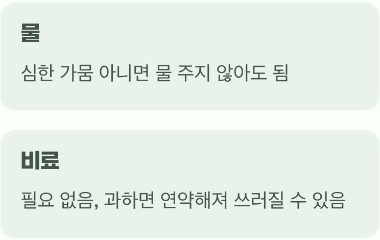 과한 사랑은 금물&amp;#44; 무심함의 미학
