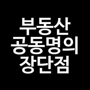 부동산 공동명의 장단점