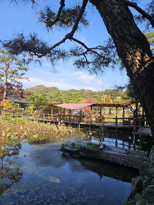 오롯이 꽃 야외좌석 풍경